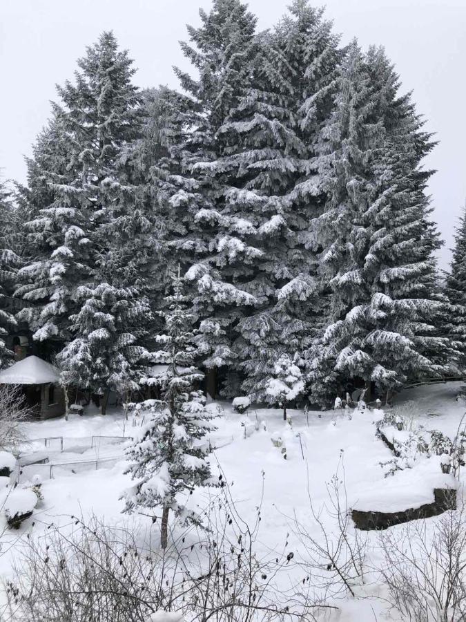 Апартаменти Олівія Skhidnytsia Zewnętrze zdjęcie