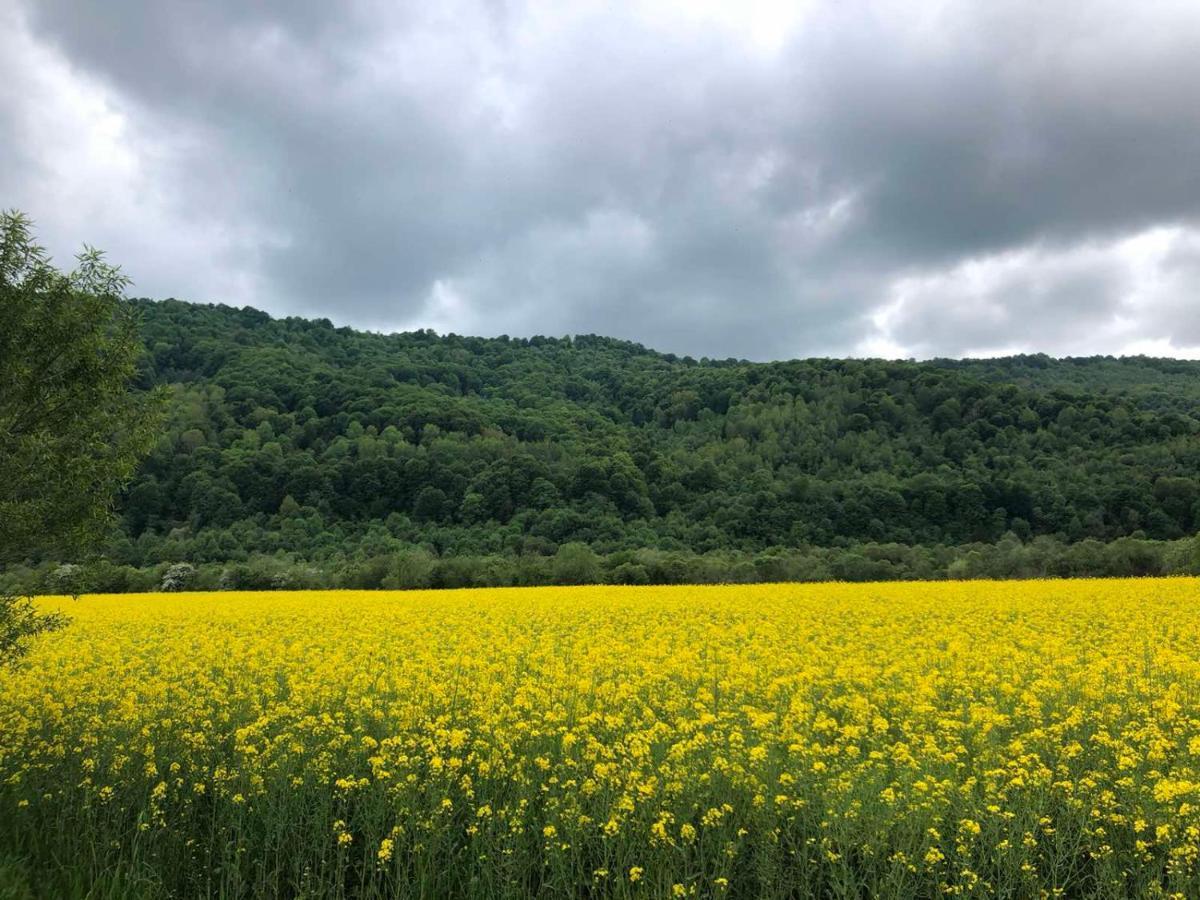 Апартаменти Олівія Skhidnytsia Zewnętrze zdjęcie