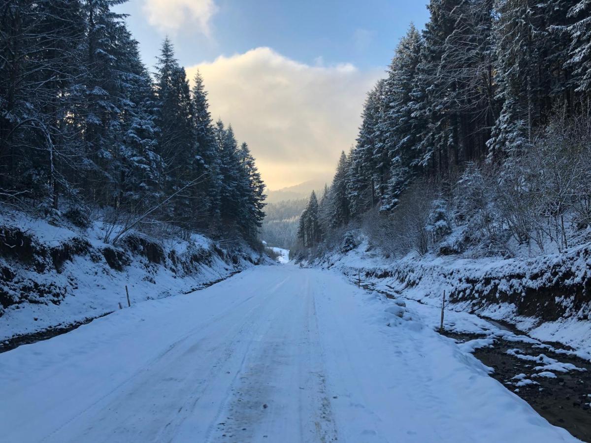Апартаменти Олівія Skhidnytsia Zewnętrze zdjęcie